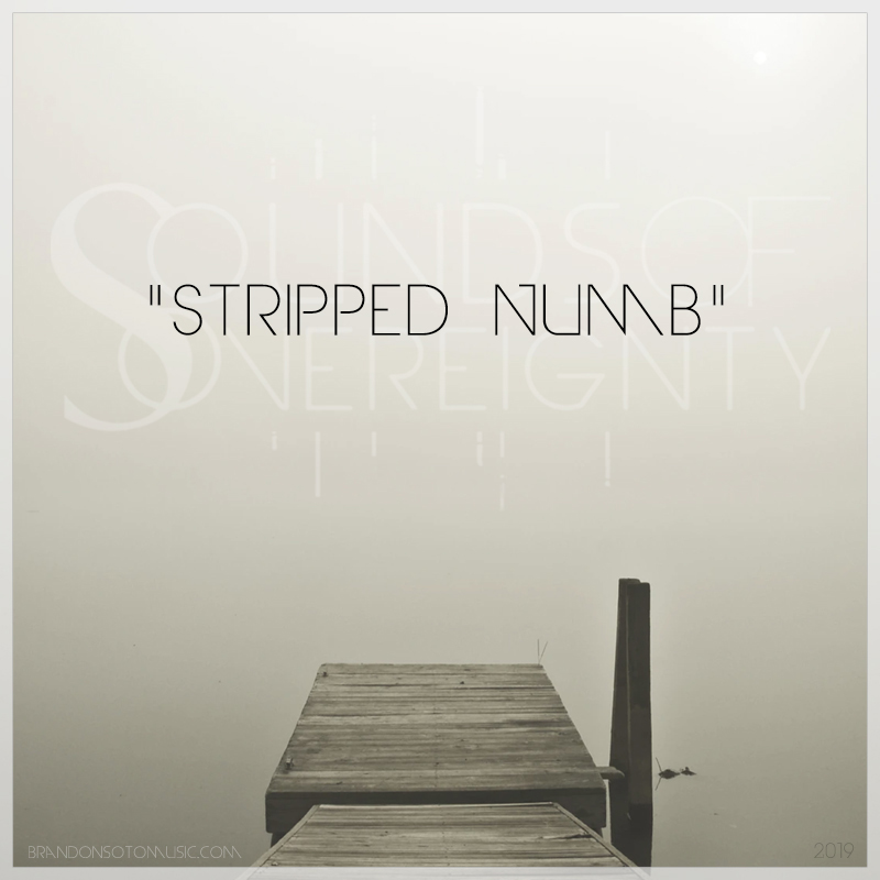 Brandon Soto's Sounds of Sovereignty Release - Stripped Numb